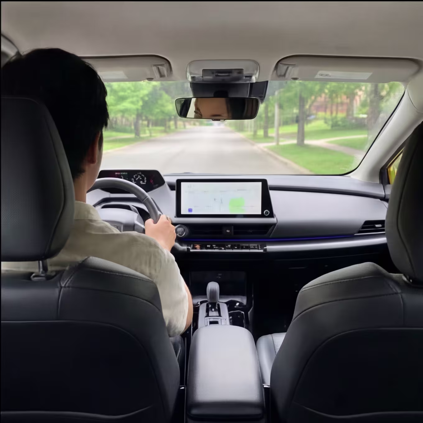 Prius Driver View