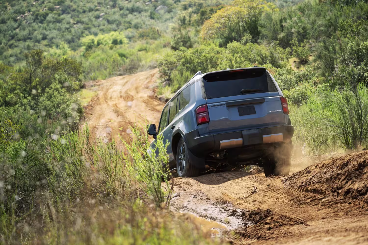 Imagem: Pressroom Toyota