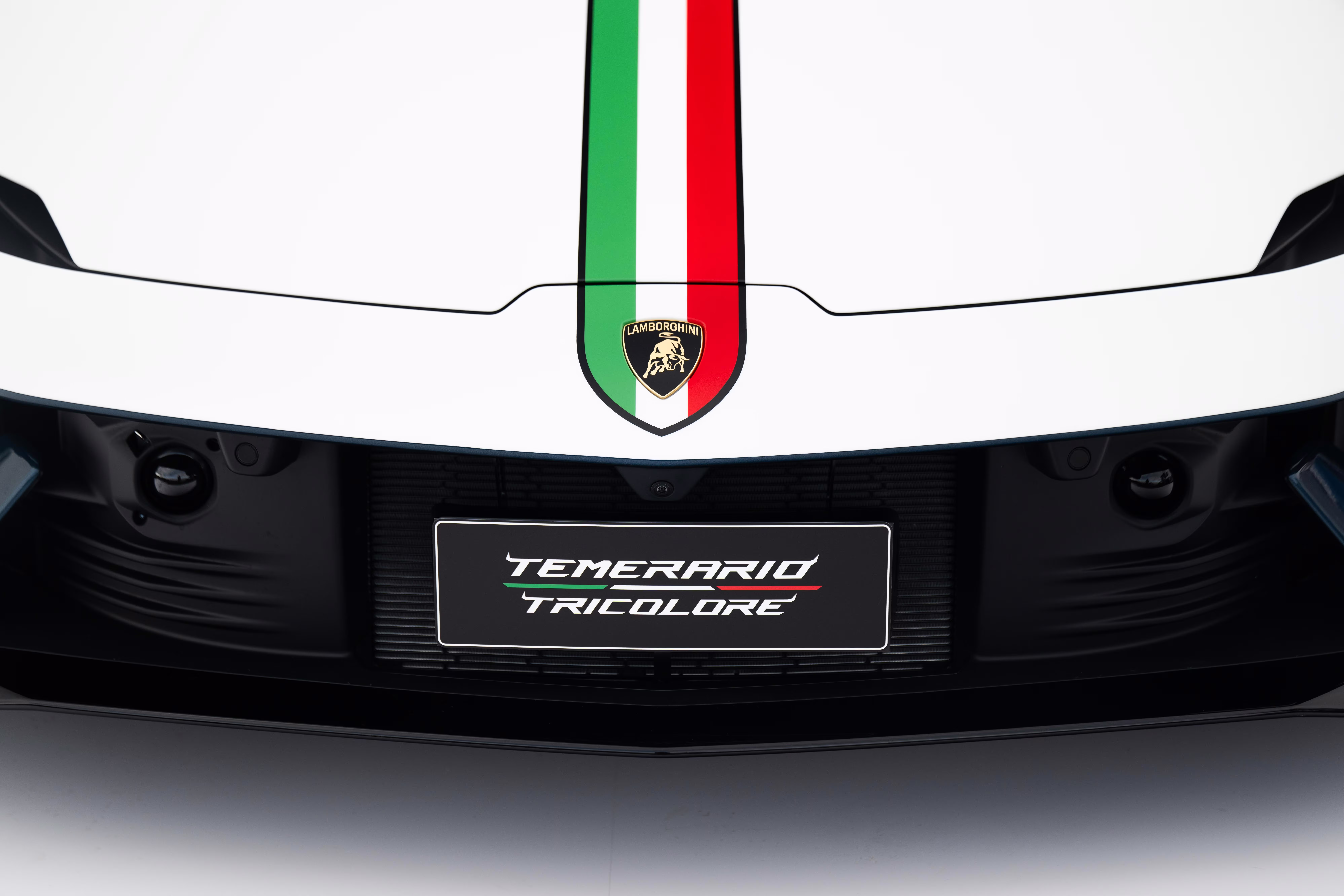 Detalhe horizontal da faixa Tricolore, do escudo e da placa dianteira