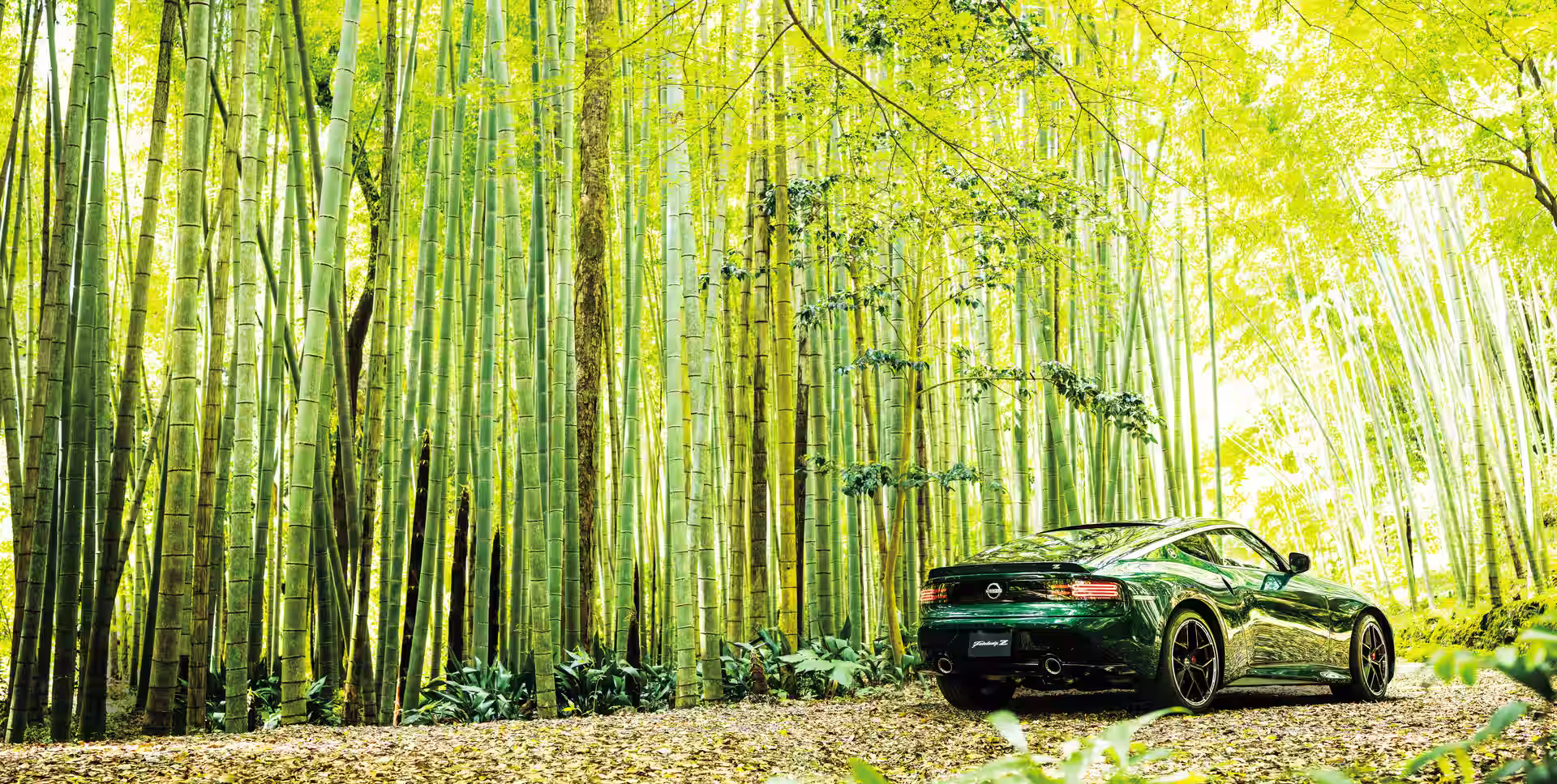 Nissan Fairlady Z verde visto de traseira em floresta de bambu
